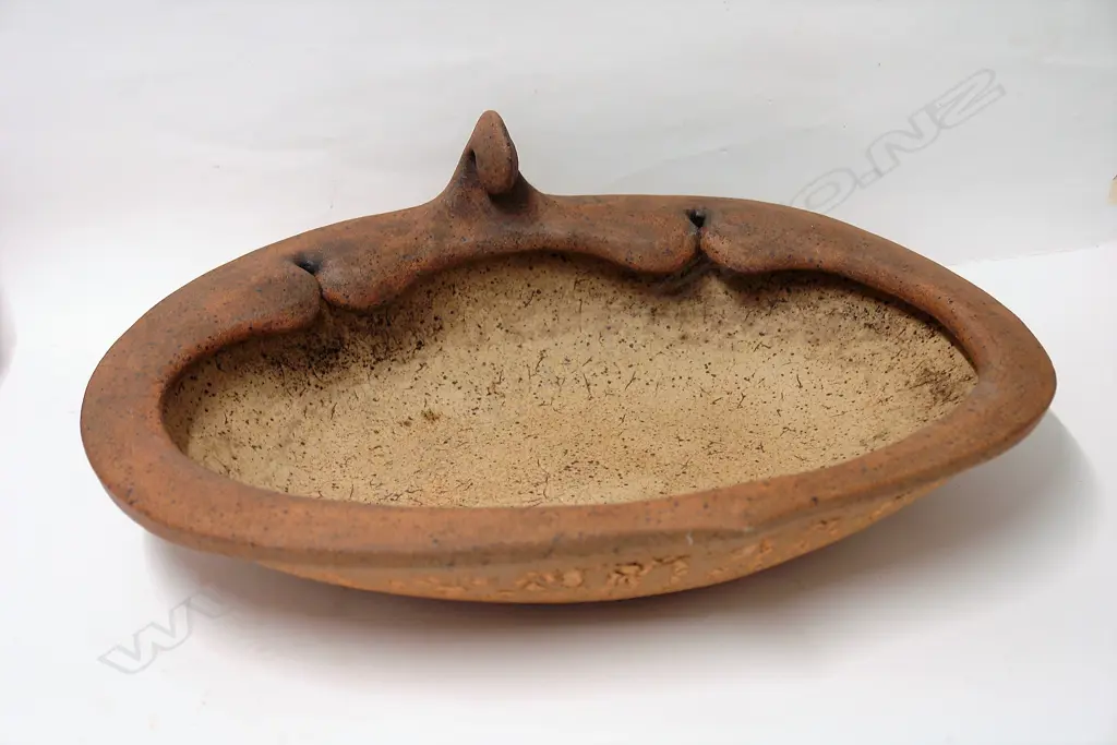 Ian Firth 'Kotiate Bowl' Image 1++