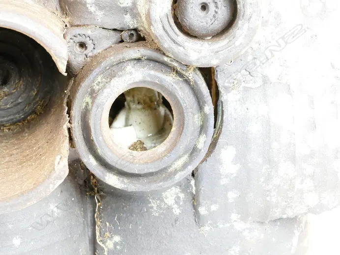 Potter unknown Image 1++