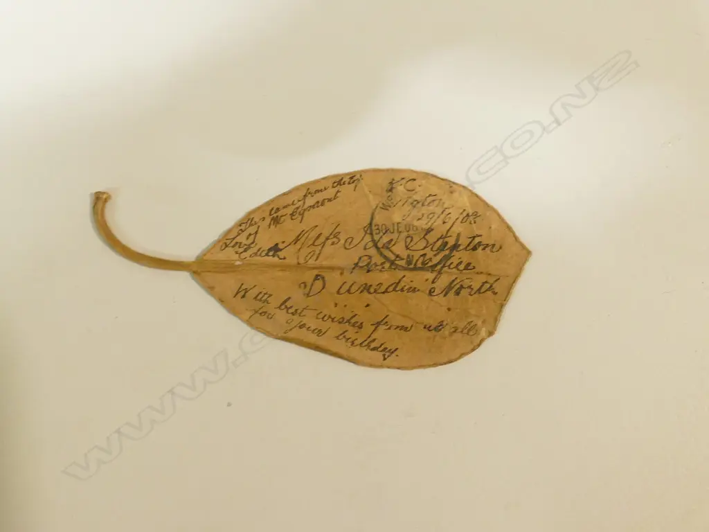 Two early 20thC postcard albums Image 1++