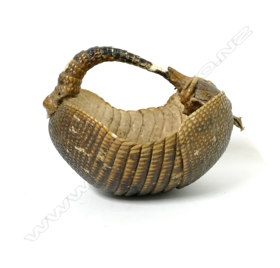 A vintage taxidermy armadillo sewing basket Image 1++