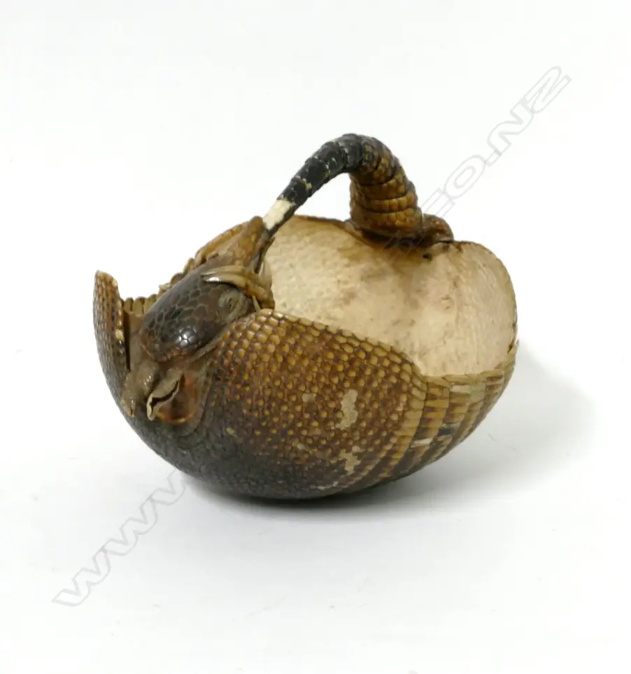 A vintage taxidermy armadillo sewing basket Image 1++