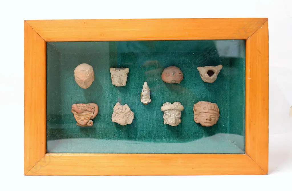 A collection of nine 'Pre-Columbian deity terra cotta heads' mounted in a glazed display box Image 1++