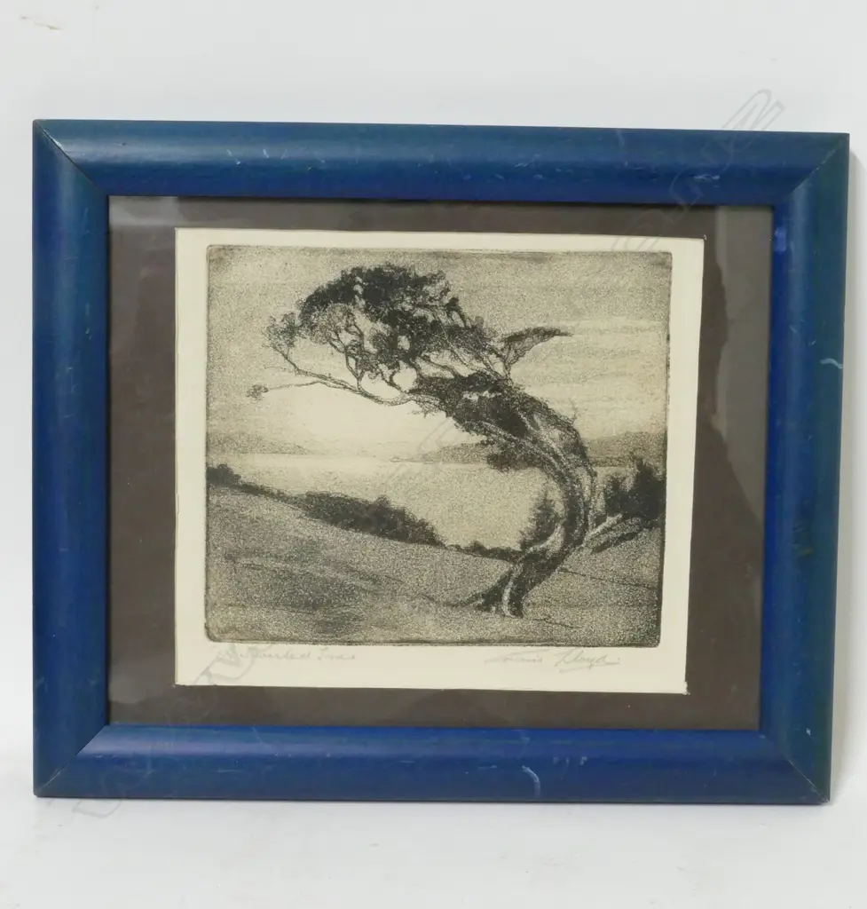 Connie Lloyd Image 1++