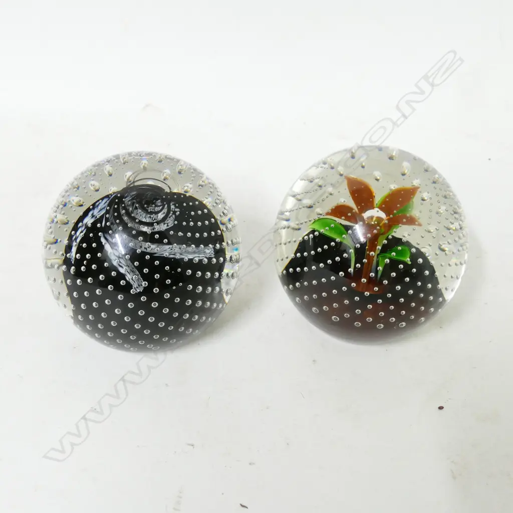Two glass paperweights Image 1++