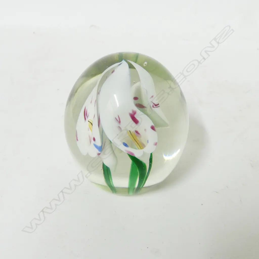 A Peter Viesnik glass paperweight Image 1++
