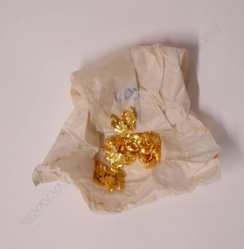 1oz. fine gold nuggets Image 1++