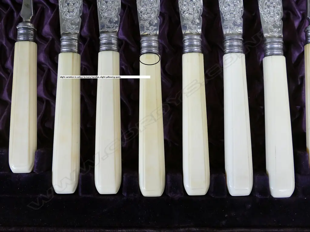 A Victorian silver and ivory handled 12 place fish service canteen Image 1++