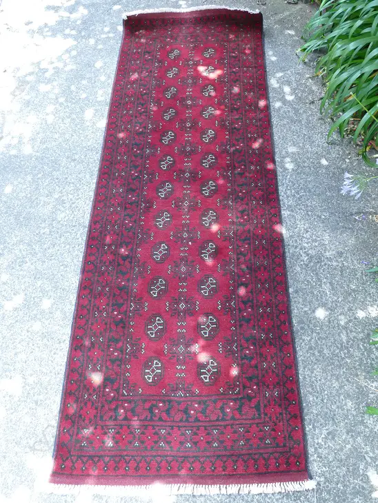 An Afghan Turkoman small runner Image 1++