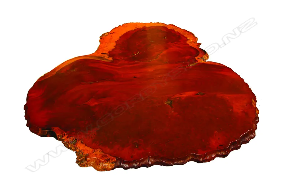 A mid-20thC large Burmese rosewood burr slab form table Image 1++