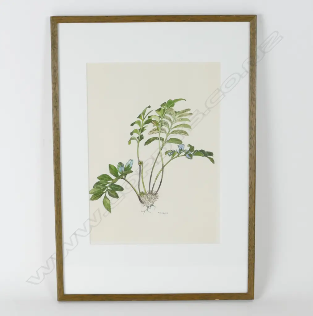 Nancy M Adams (1926-2007) Image 1++