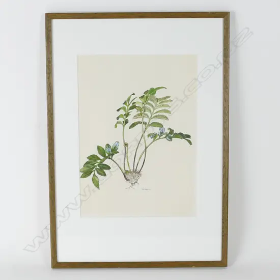 Nancy M Adams (1926-2007)