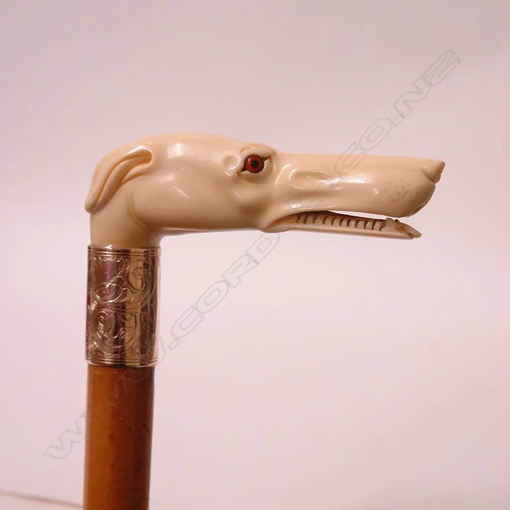 A quality 19thC carved ivory greyhound handled walking stick Image 1++