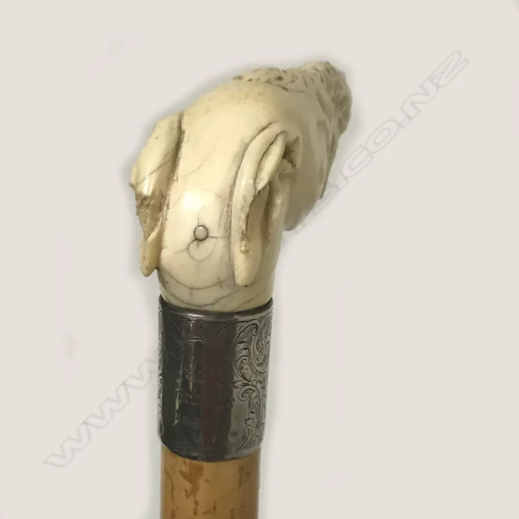 A carved ivory dog's head handled walking stick Image 1++