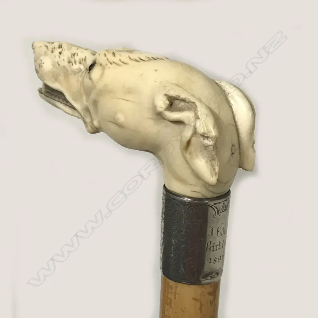 A carved ivory dog's head handled walking stick Image 1++