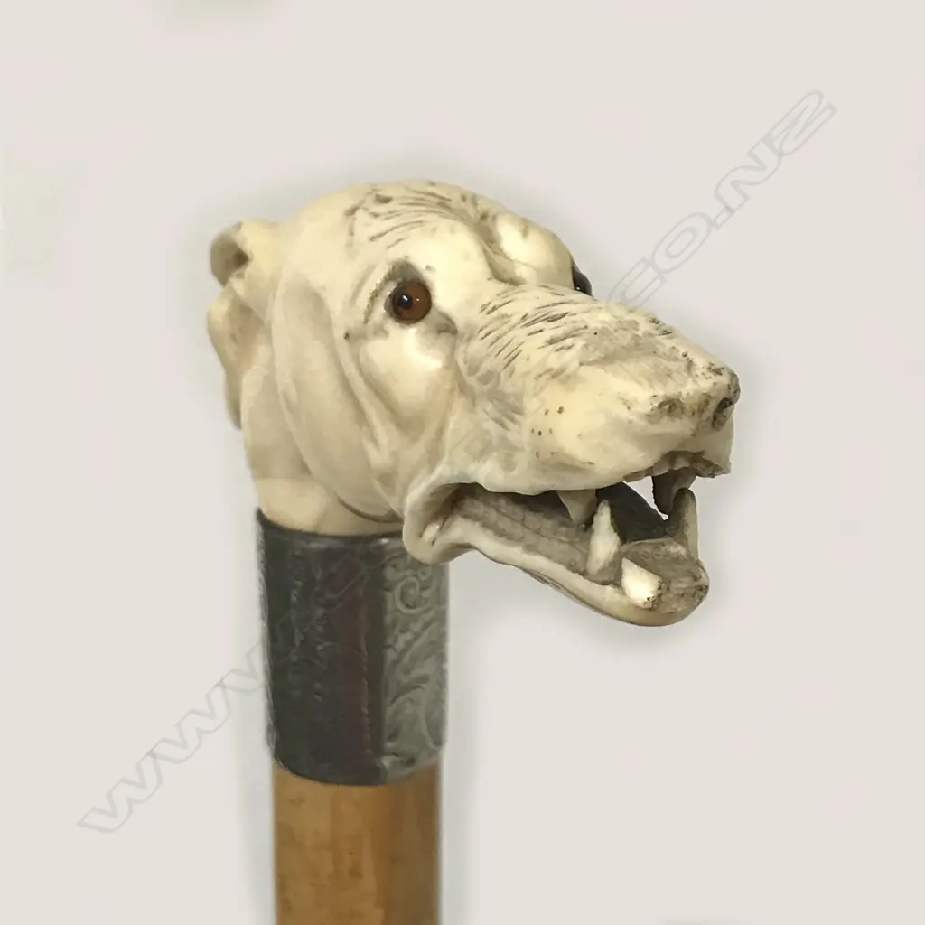 A carved ivory dog's head handled walking stick Image 1++