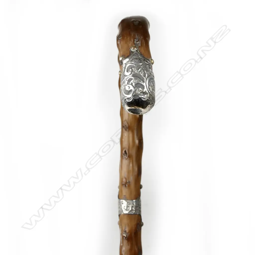 An Edwardian briar walking stick Image 1++