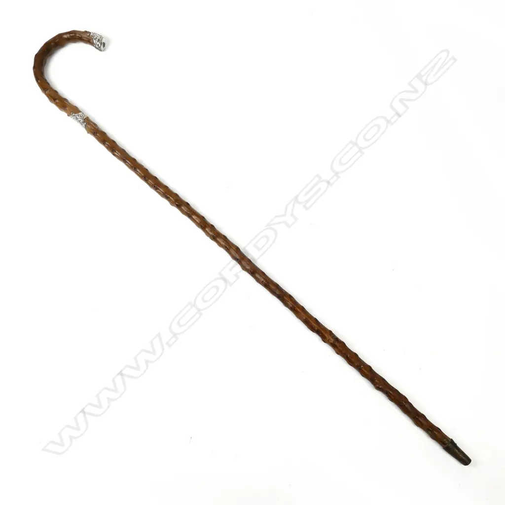 An Edwardian briar walking stick Image 1++