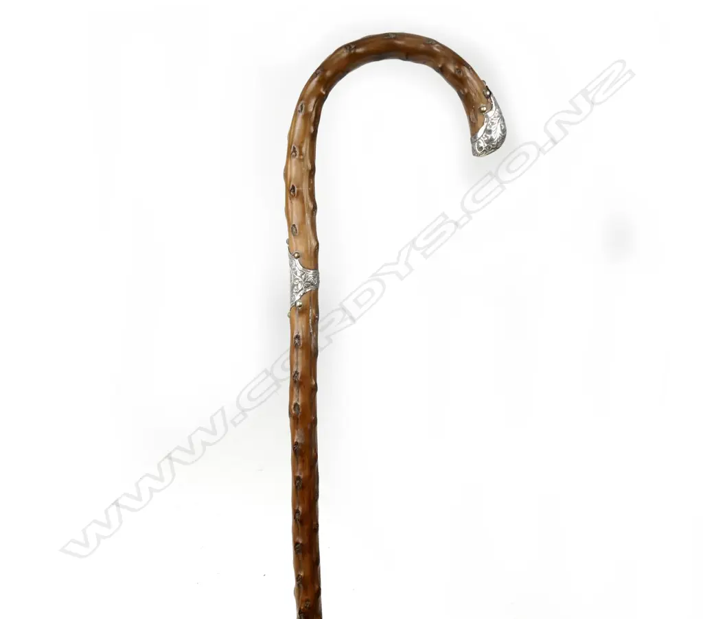 An Edwardian briar walking stick Image 1++