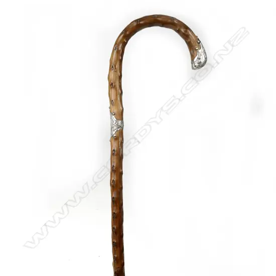 An Edwardian briar walking stick