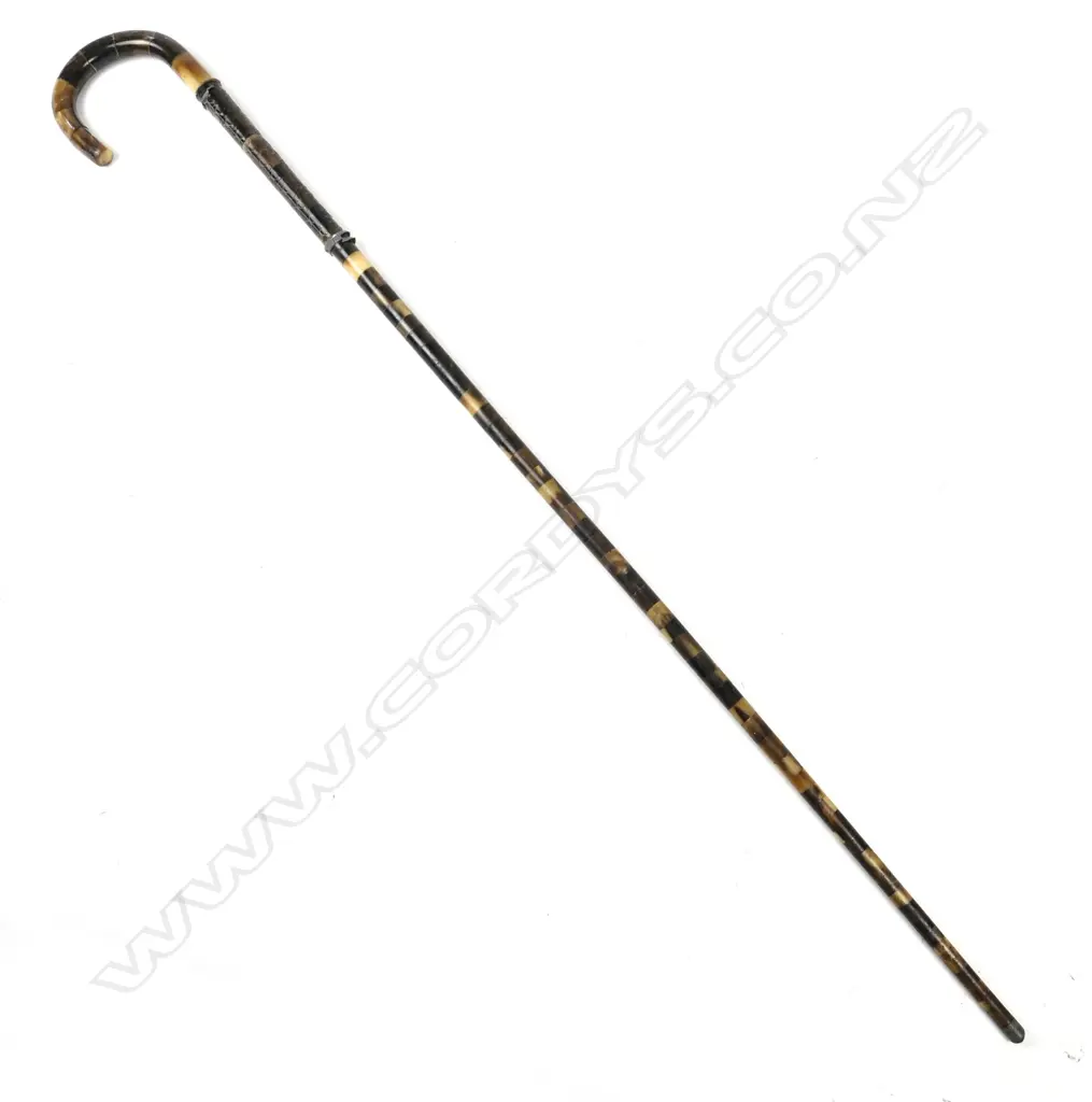 A walking stick of horn sections Image 1++