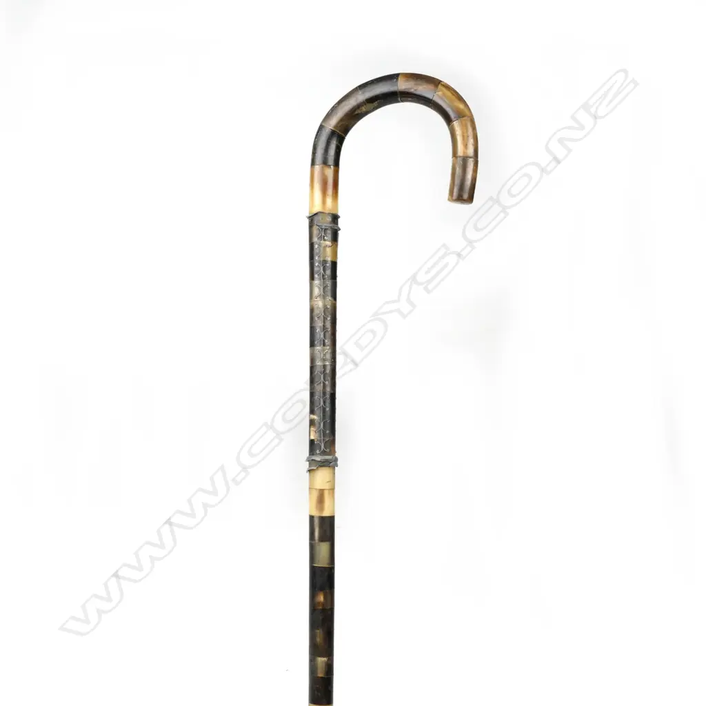 A walking stick of horn sections Image 1++