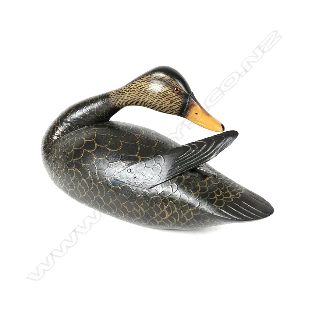 A very good painted wood 'Black Duck' display decoy Image 1++