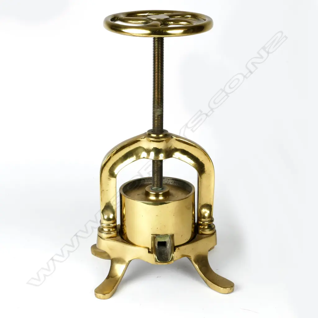 A heavy 19thC brass duck press Image 1++
