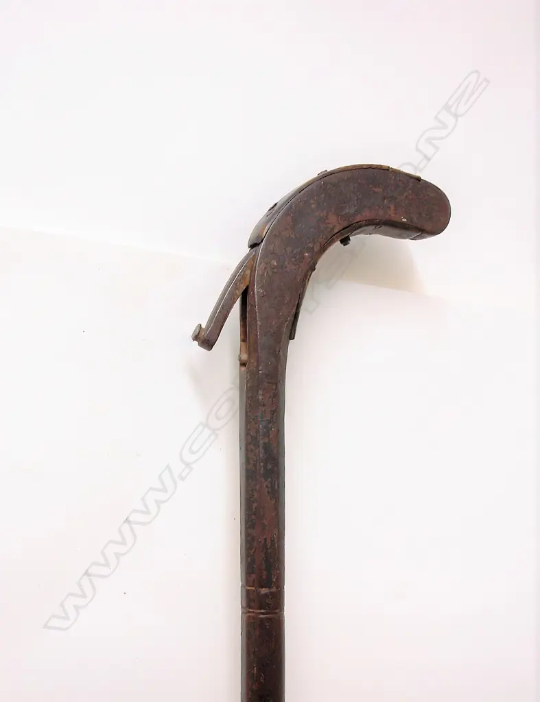 An old cast iron walking stick gun Image 1++