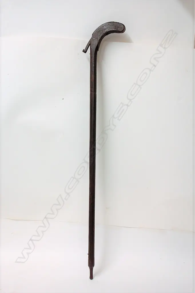 An old cast iron walking stick gun Image 1++