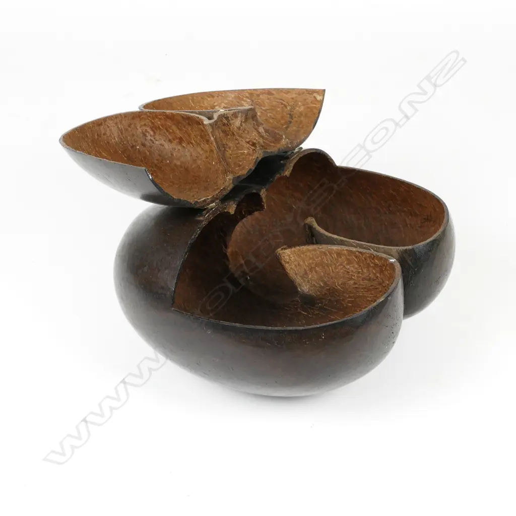 A rare coco de mer nut box Image 1++
