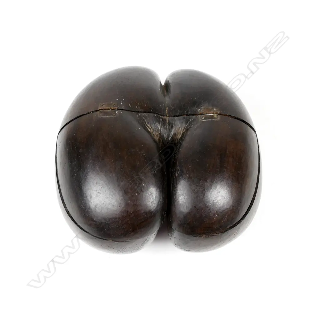 A rare coco de mer nut box Image 1++