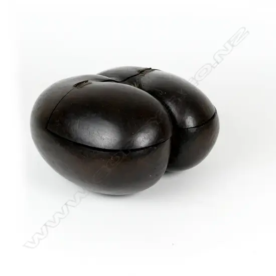 A rare coco de mer nut box