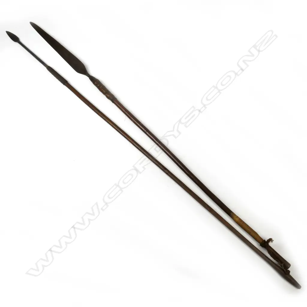 An African assegai and short spear Image 1++