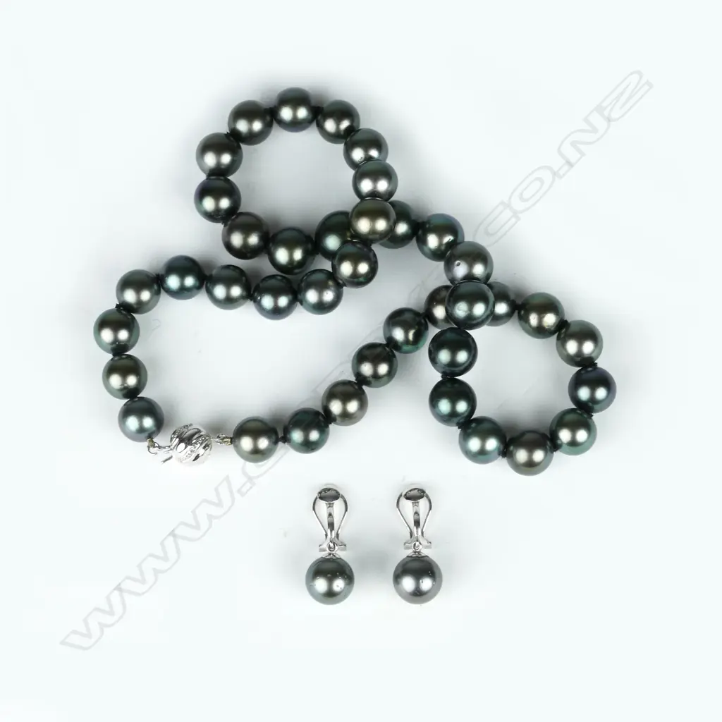 A single strand Tahitian black pearl necklace Image 1++