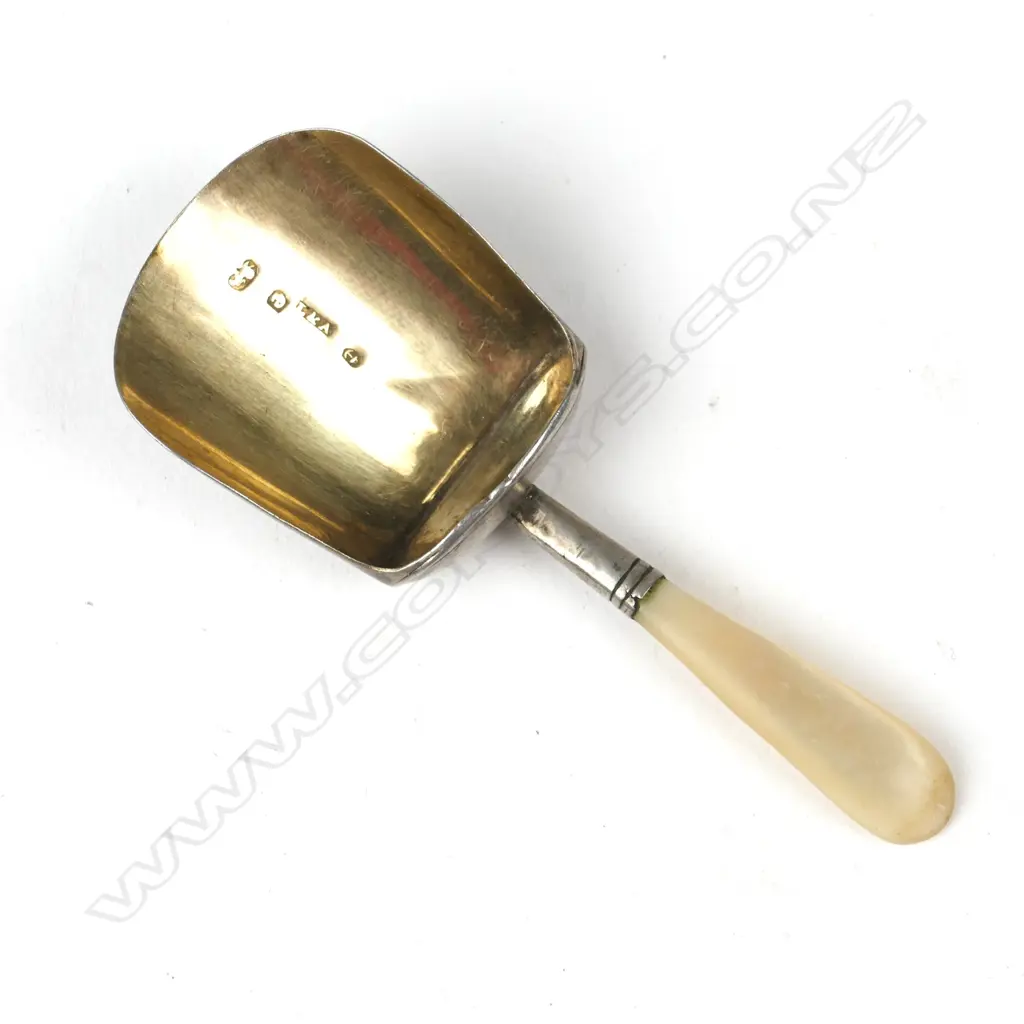 A George III silver and mother of pearl caddy spoon Image 1++