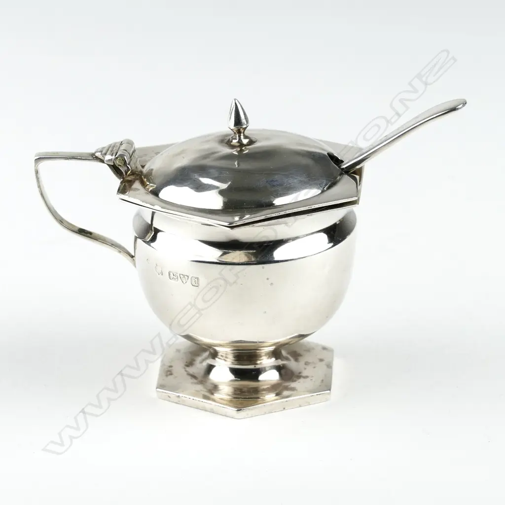 A silver mustard pot Image 1++