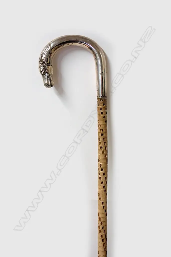 A vintage shark vertebrae walking stick Image 1++