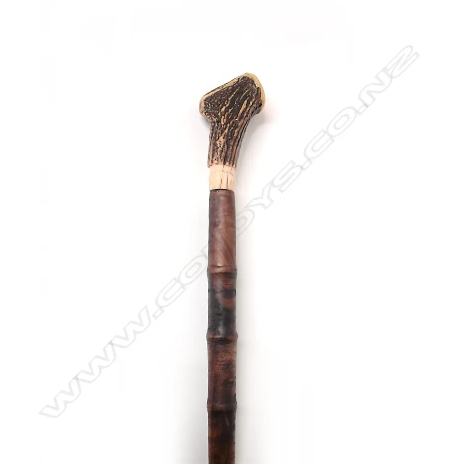 A walnut and antler handled walking stick Image 1++