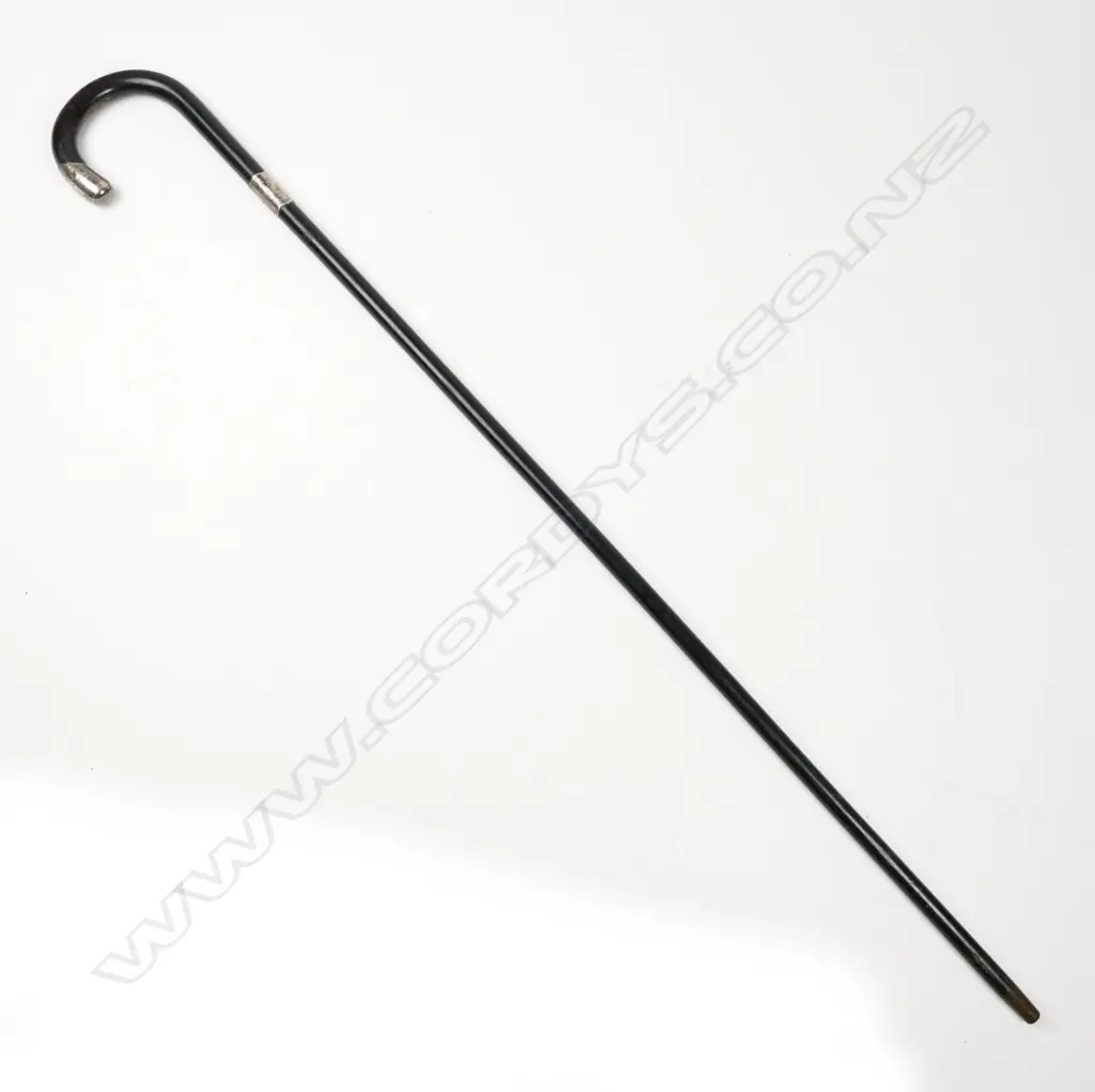 An early 1900s walking stick Image 1++