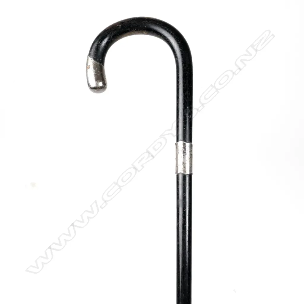 An early 1900s walking stick Image 1++