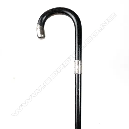 An early 1900s walking stick