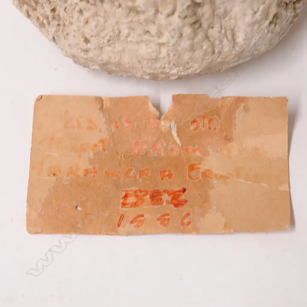 A rare Pink and White Terraces silica coated teapot Image 1++