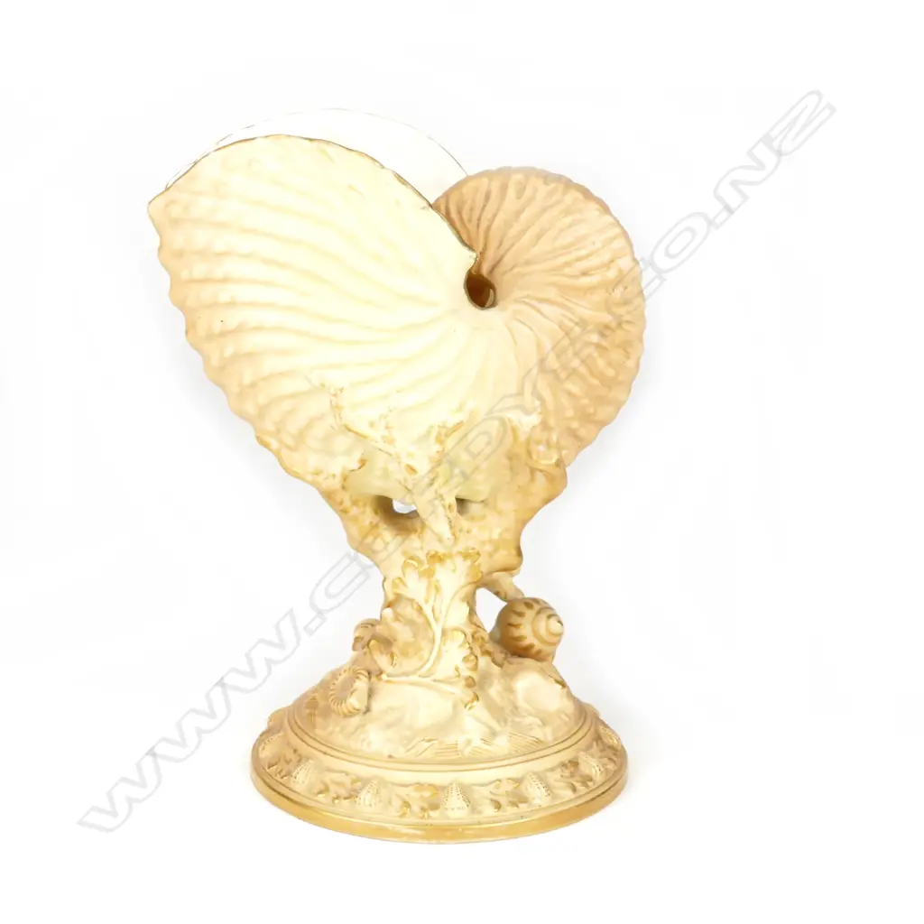 A Royal Worcester nautilus shell Image 1++