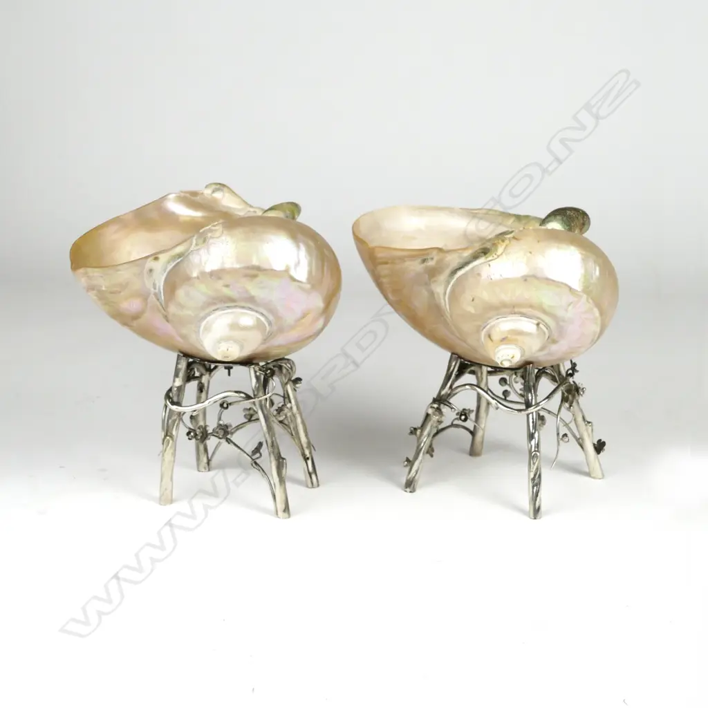 A pair of turn-of-the-century Chinese carved large nautilus shells Image 1++