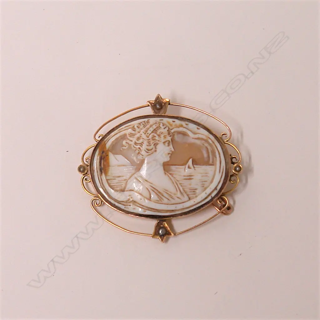 A 19thC 9ct. yellow gold framed cameo brooch Image 1++