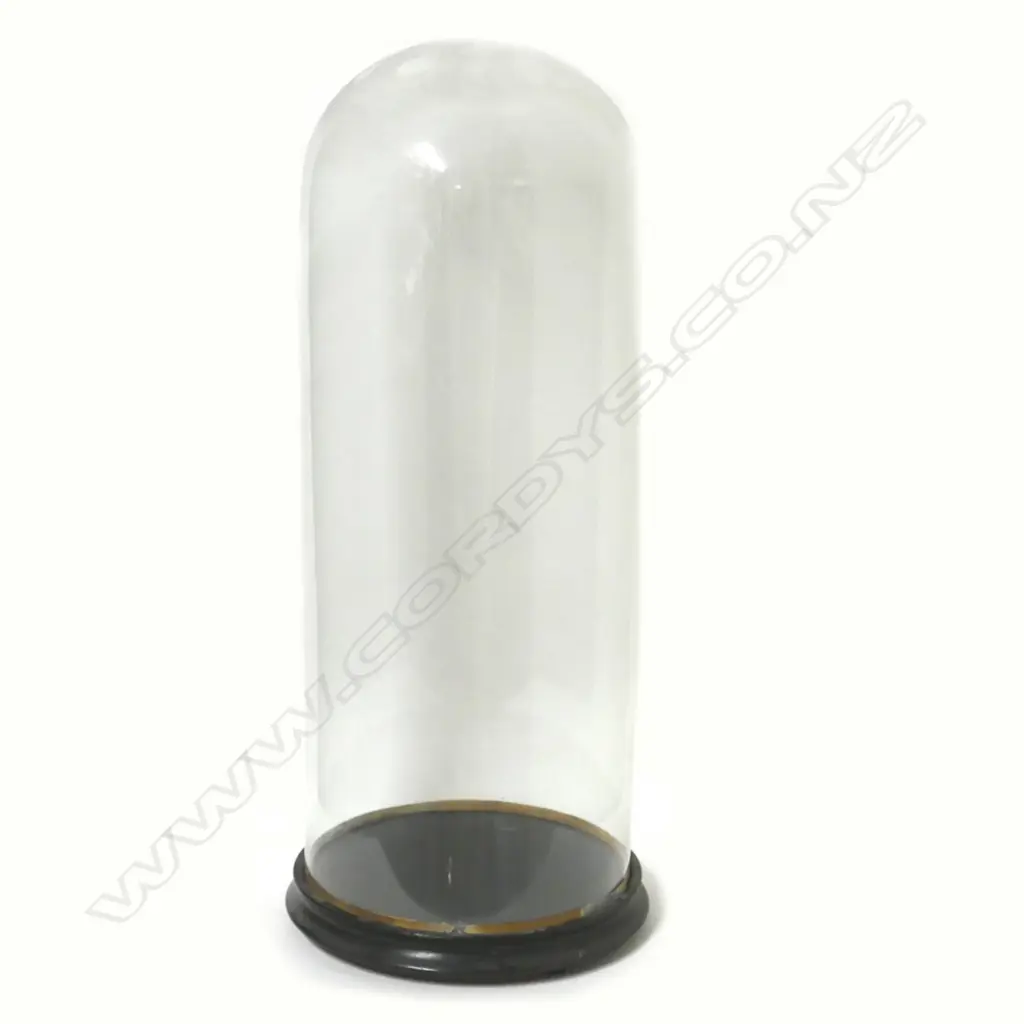 A Victorian tall glass dome Image 1++