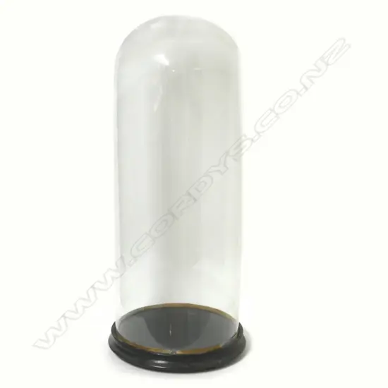 A Victorian tall glass dome