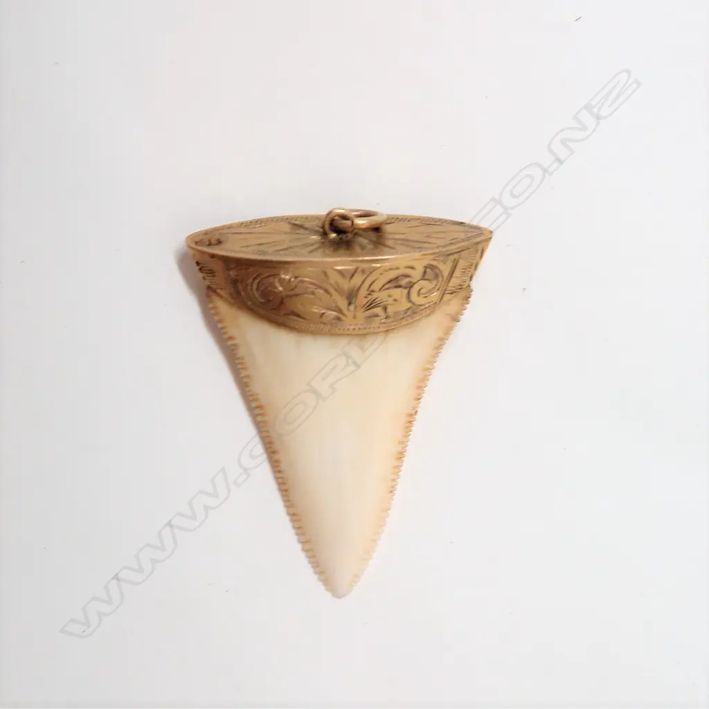 A 9ct. gilded yellow gold mounted shark's tooth pendant Image 1++