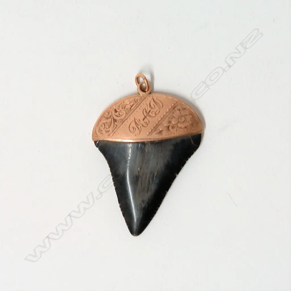 A c.1900 9ct. rose gold mounted petrified shark's tooth pendant Image 1++