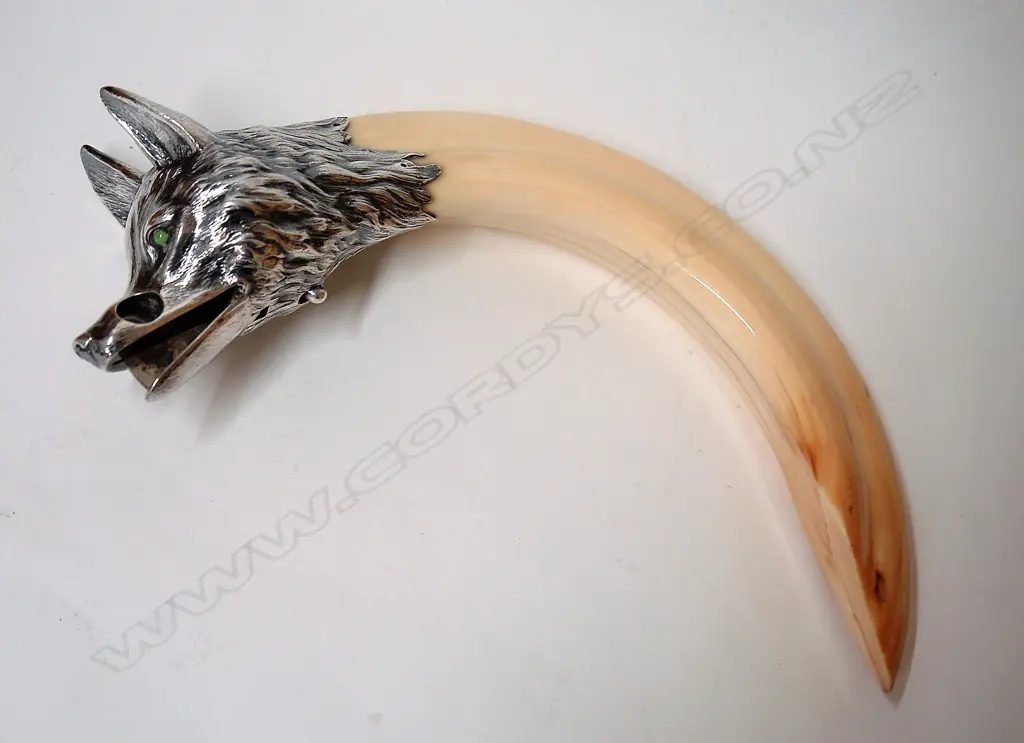 A c.1900 large and impressive Austrian silver and hippo tusk cigar cutter Image 1++